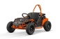 Preview: Nitro Motors GoKid 80cc LIFAN Motor Automatik Pullstart 6 Zoll Offroad Kinderbuggy